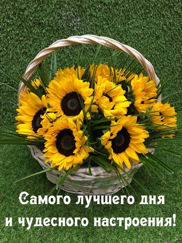 композиция из подсолнухов в корзине