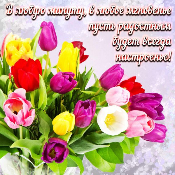 тюльпаны пгн