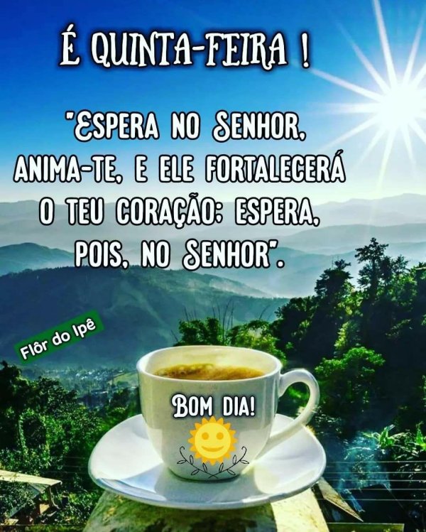 bom dia