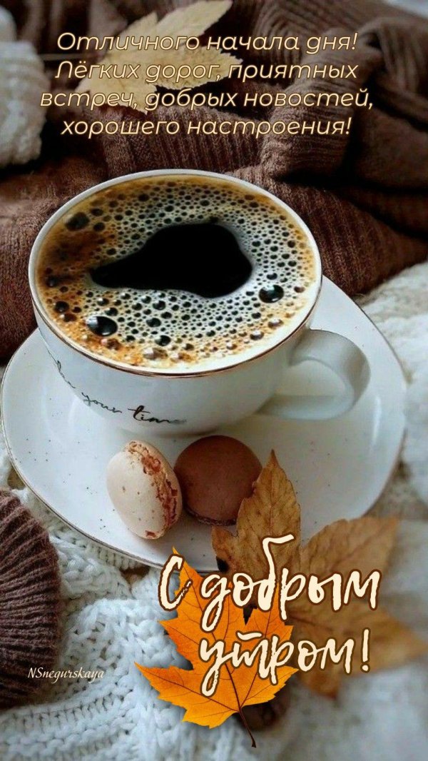 доброго утра всем