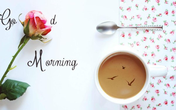 утро позитив