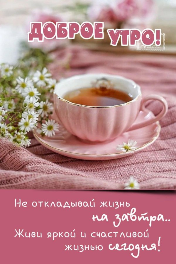 добра утра