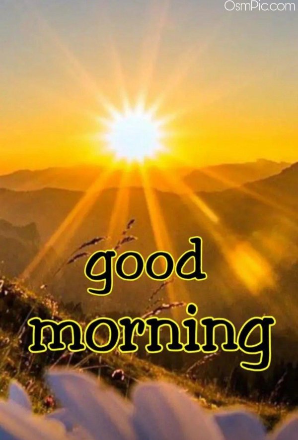 good morning sunrise