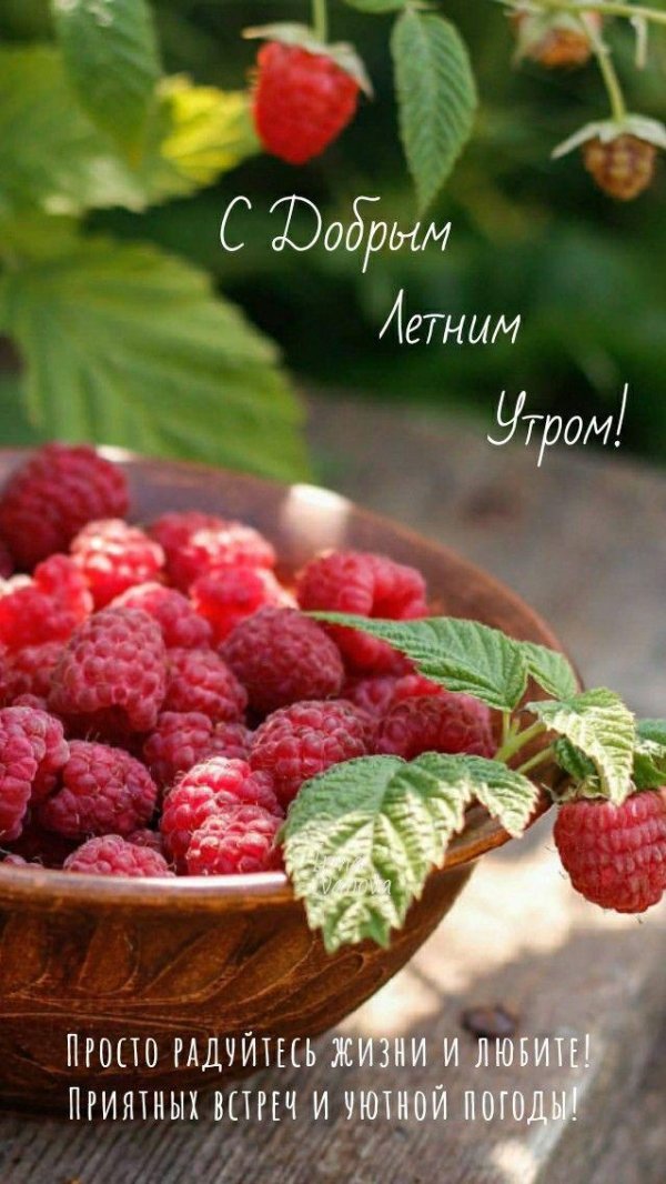 прекрасного летнего настроения