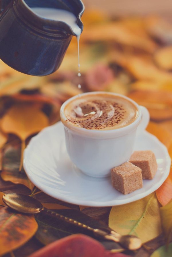 красивый кофе