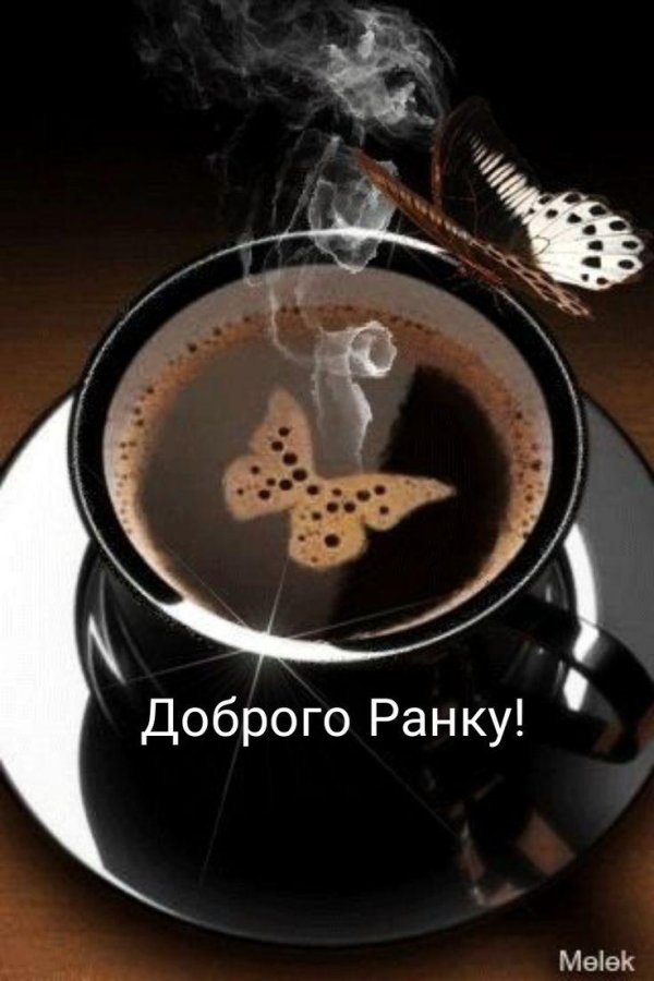 кофе бабочка