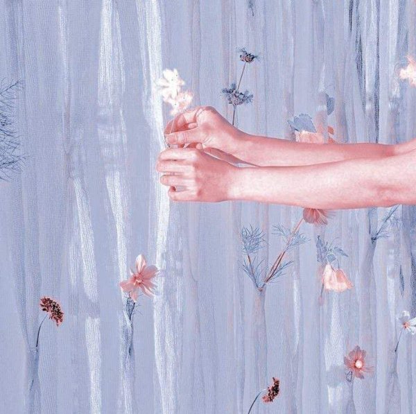 эстетика нежности