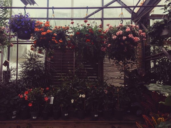 ботанические сады