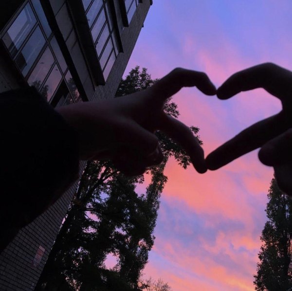 эстетика дружбы