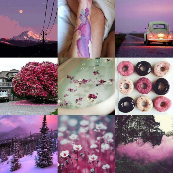 азалия рододендрон дерево