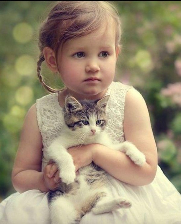 девочка с котенком