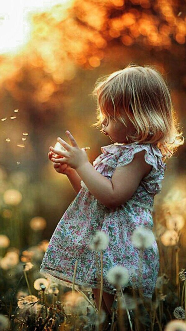 елена карнеева фотограф