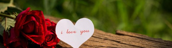 цветы сердечки