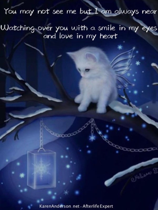 сказочных зимних снов