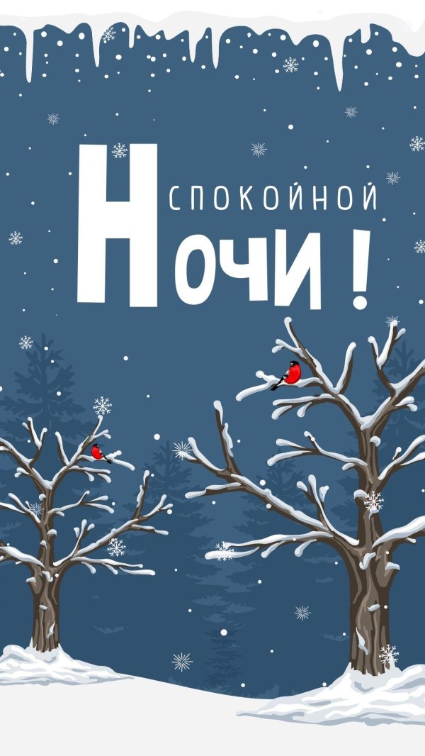 доброй зимней ночи