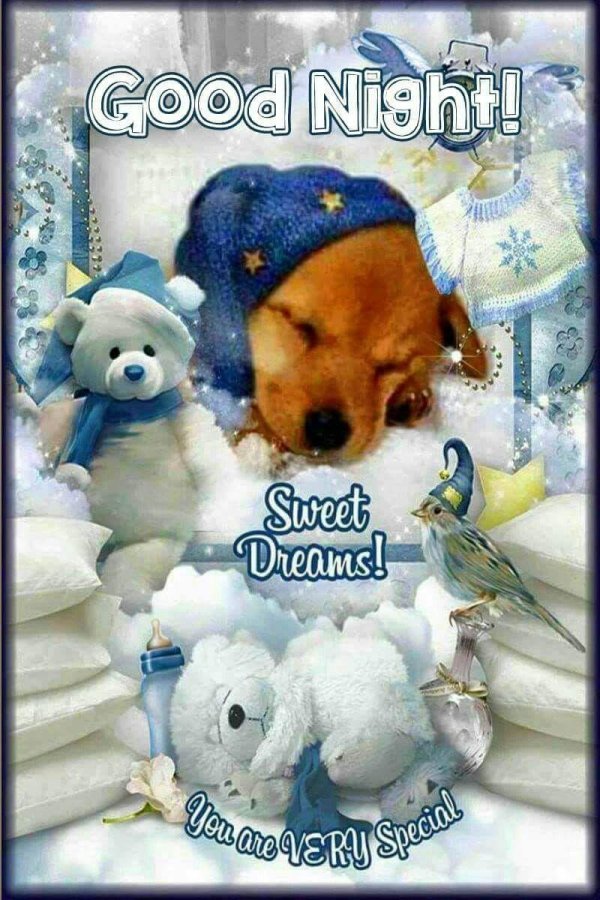 сладких зимних снов