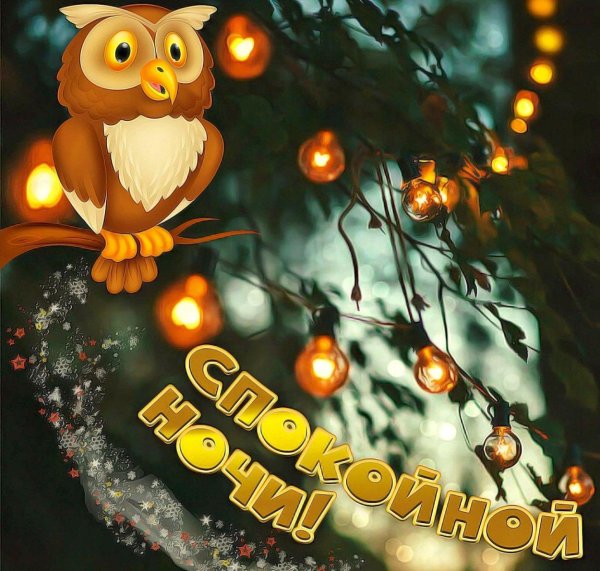 сова спокойной ночи