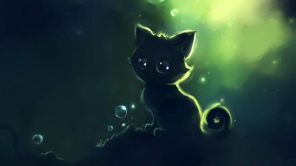 милые котики аниме