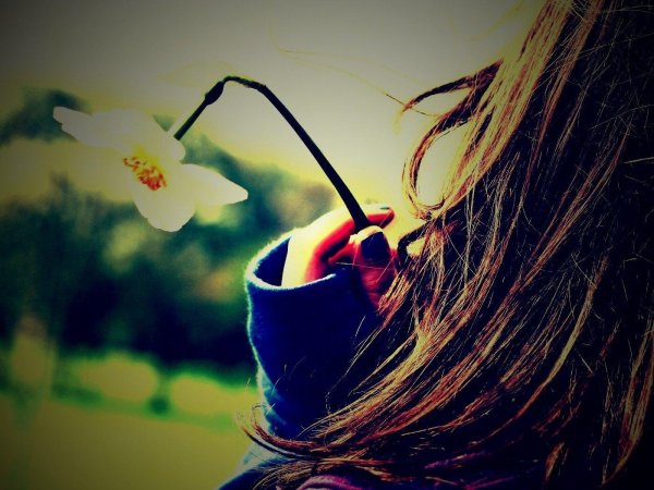 красивые картинки на аватарку