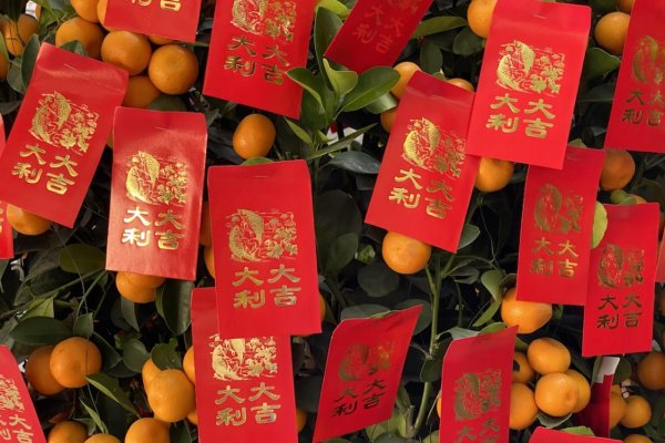 китайские мандарины