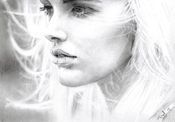 картины карандашами