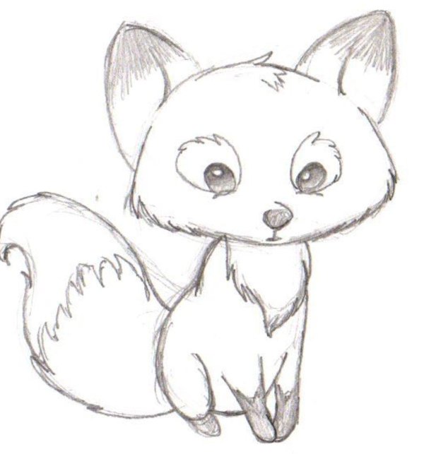 рисунки с животными красивые карандашом легкие