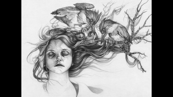 craww художник