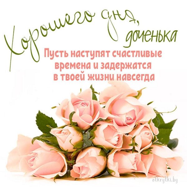 роза розовая