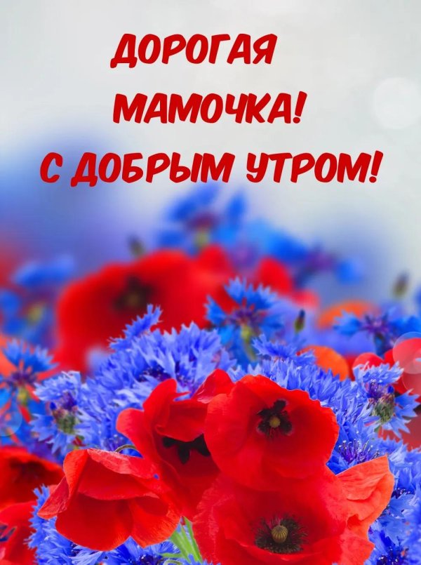 доброго утра мамуля