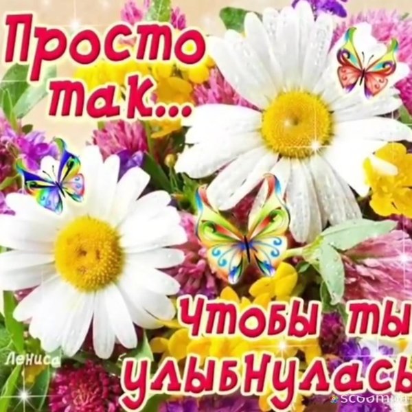 просто так открытки