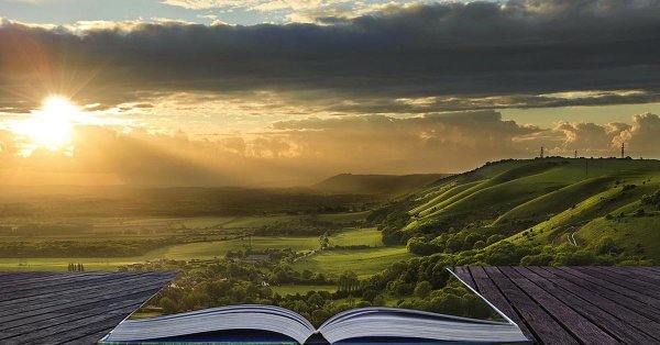 жизненная мудрость