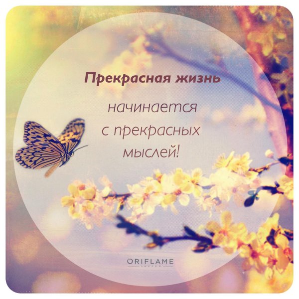 прекрасная жизнь