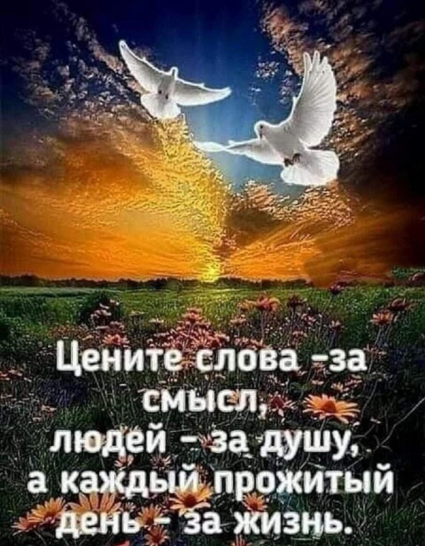 каждый прожитый день