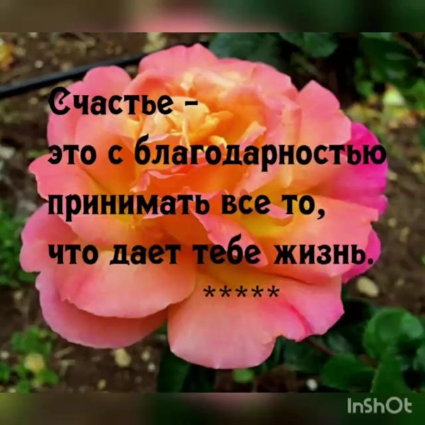 большая благодарность