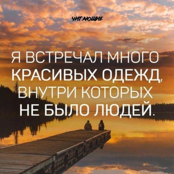 красивая цитата