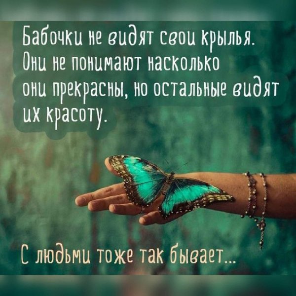 бабочка не видит свои крылья