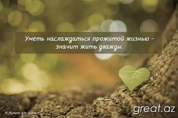 уметь наслаждаться прожитой жизнью значит жить дважды