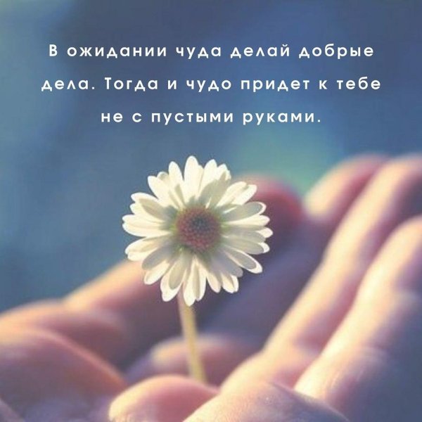 делаем добрые дела