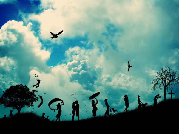 жизнь в картинках