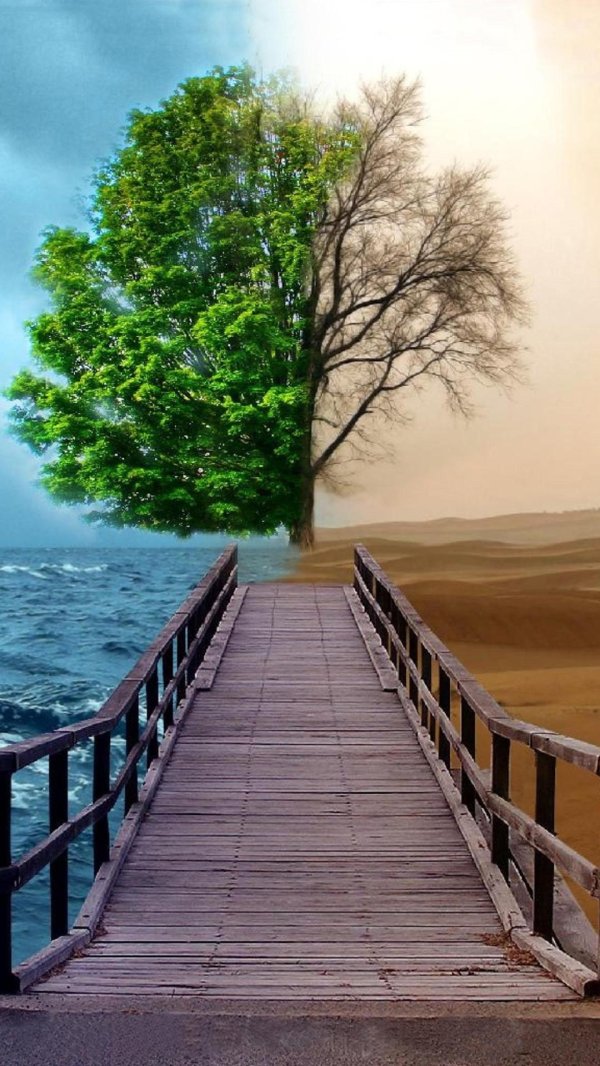 изменение климата