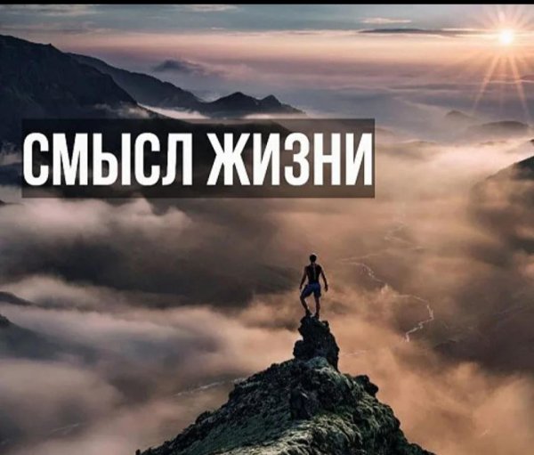 смысл жизни этой