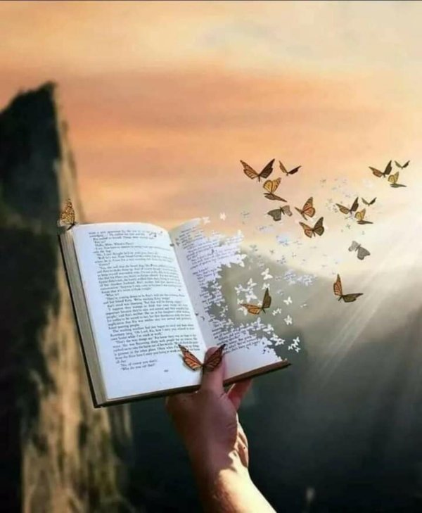 волшебные книги