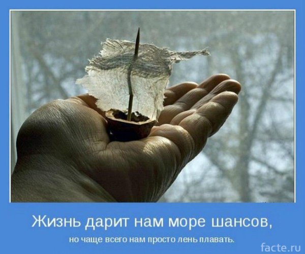 картинки мотиваторы