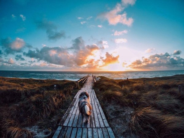 вдохновляющий пейзаж