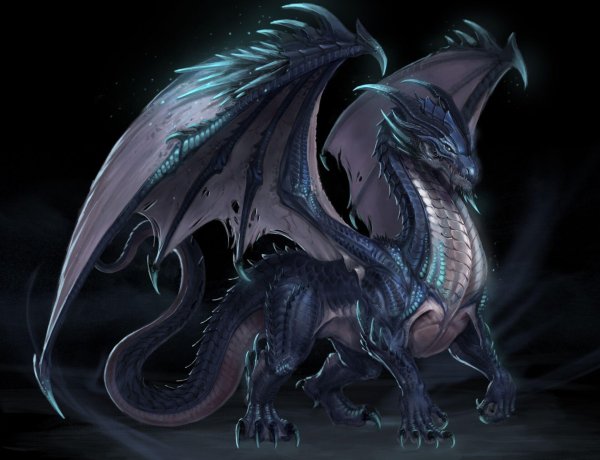 красивые драконы