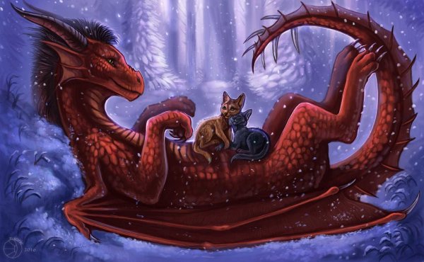 сказочные драконы