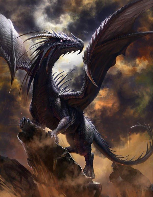 дракон вермитор