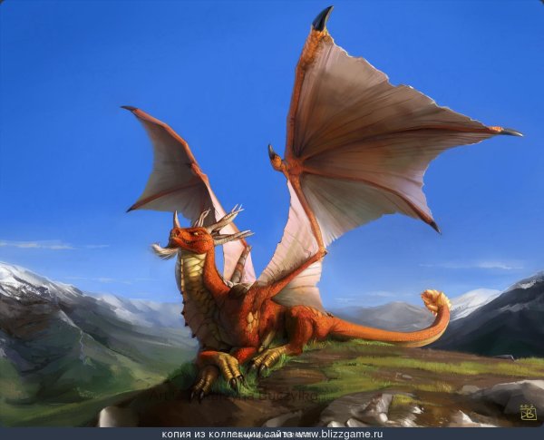 мифические драконы