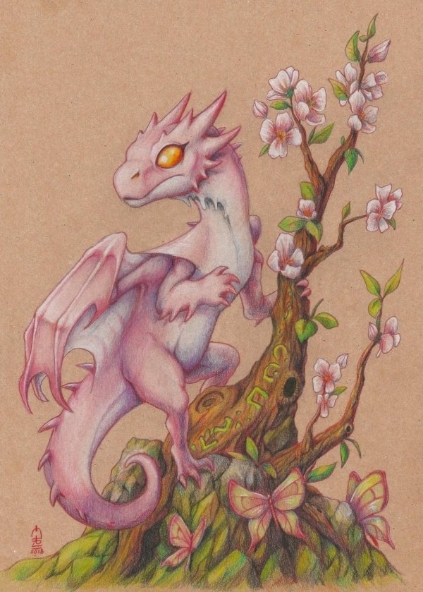 наоми лорд дракончики