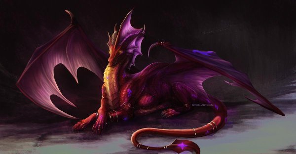 фиолетовые драконы
